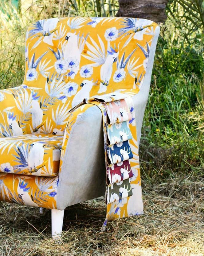 Tela Estampada para Tapizar | Loro